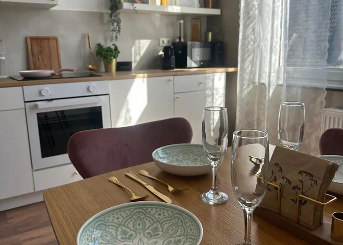 Apartman Modernes Mit Altbau Flair Naehe Messe Duesseldorf Duisburg